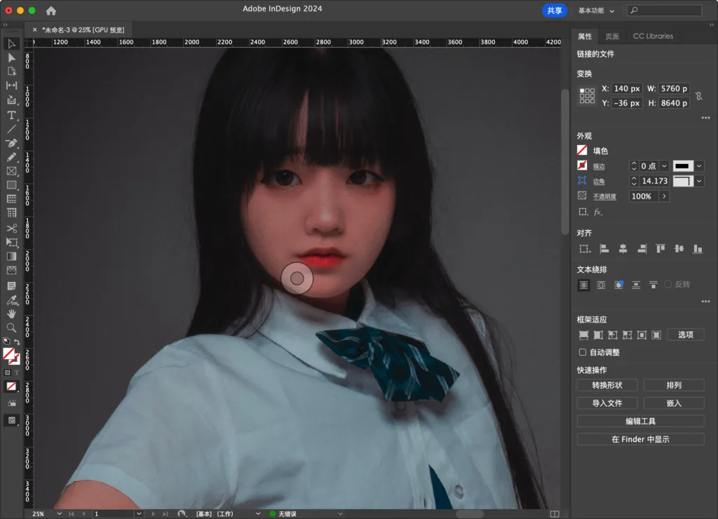 图片[2] | [设计排版] Adobe InDesign  永久激活版｜官方中文破解｜图书/杂志/电子书设计 [Win/Mac][2025 (v20.3.1.073)] | 次元便利店