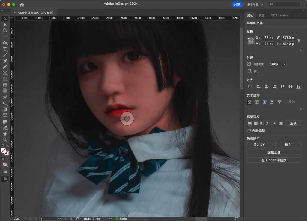 图片[5] | [设计排版] Adobe InDesign  永久激活版｜官方中文破解｜图书/杂志/电子书设计 [Win/Mac][2025 (v20.3.1.073)] | 次元便利店
