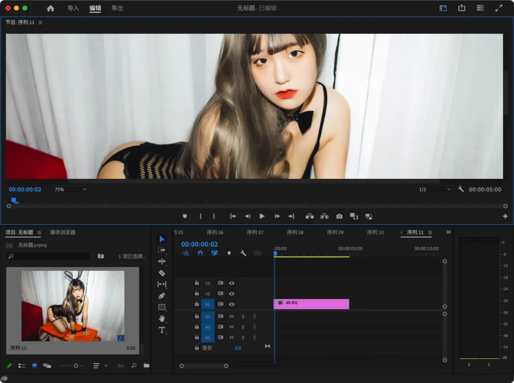 [视频编辑] Adobe Premiere Pro 破解版｜ [Win/Mac][2025 (v25.2.1.002)] | 次元便利店