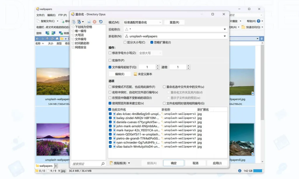 图片[4] | [文件管理] Directory Opus Pro 最新破解版｜激活所有专业功能｜支持批量重命名/同步备份 [Win][v13.15.2 Beta] | 次元便利店