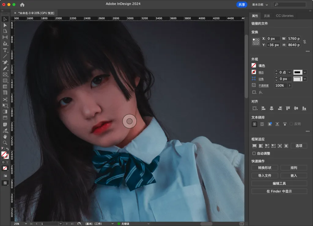 图片[4] | [设计排版] Adobe InDesign  永久激活版｜官方中文破解｜图书/杂志/电子书设计 [Win/Mac][2025 (v20.3.1.073)] | 次元便利店