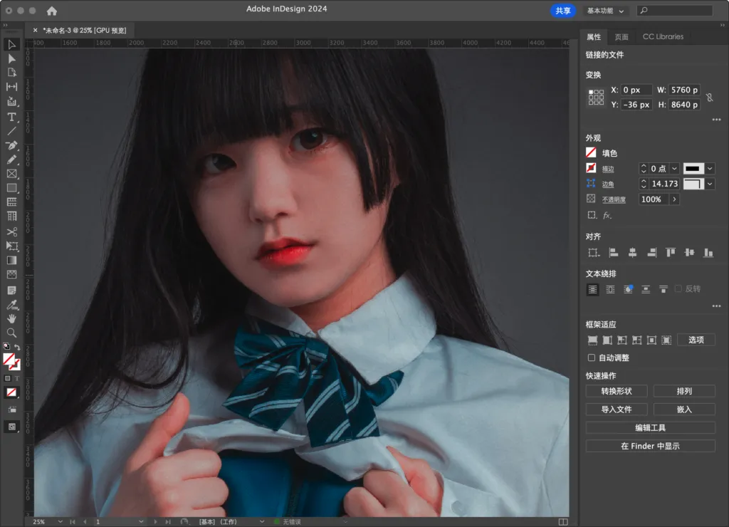 [设计排版] Adobe InDesign  永久激活版｜官方中文破解｜图书/杂志/电子书设计 [Win/Mac][2025 (v20.3.1.073)] | 次元便利店