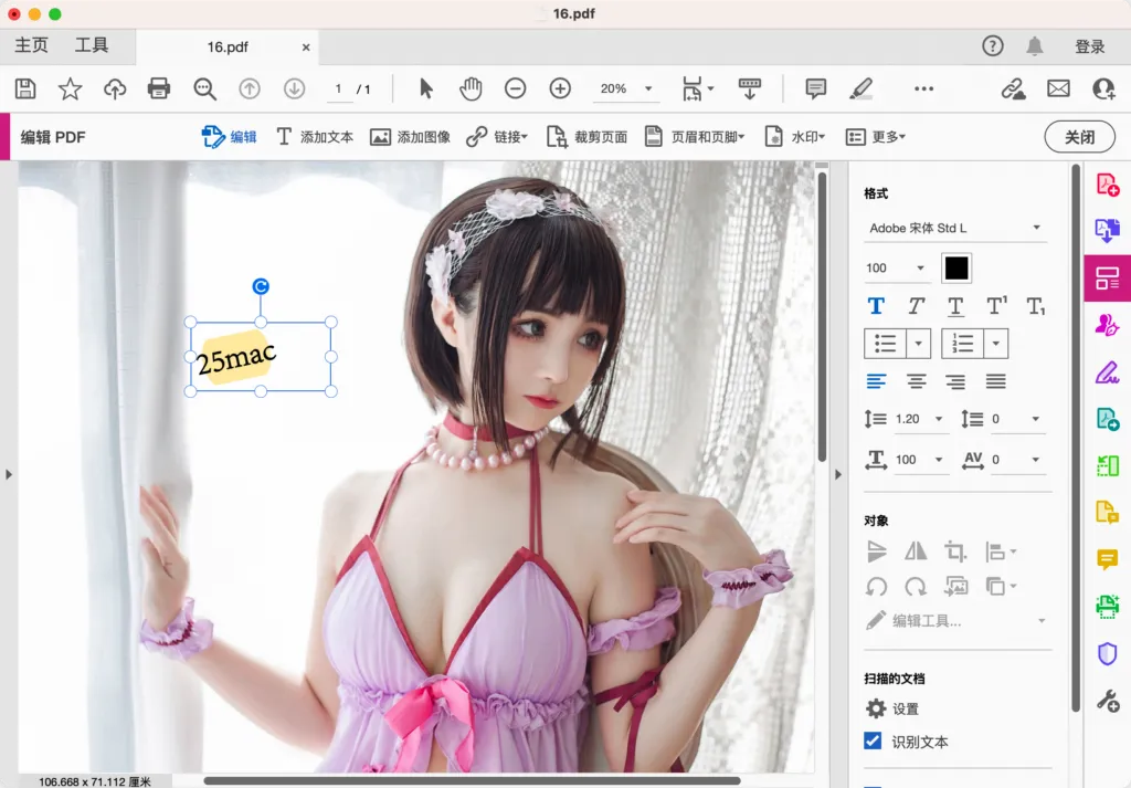 [办公软件] Adobe Acrobat Pro DC 最新破解版｜智能OCR+文档加密｜ [Win/Mac][2025 (v25.1.20474)] | 次元便利店